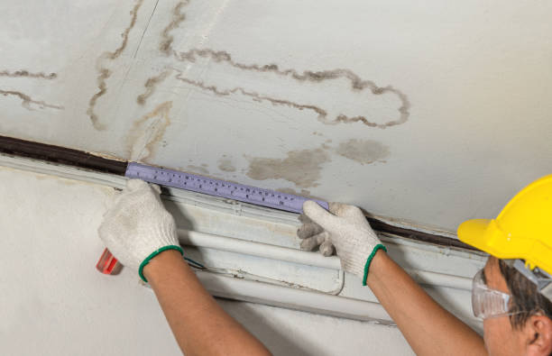 Reliable Basement Water Removal contractor in Tracy, CA by Water Damage Irwin